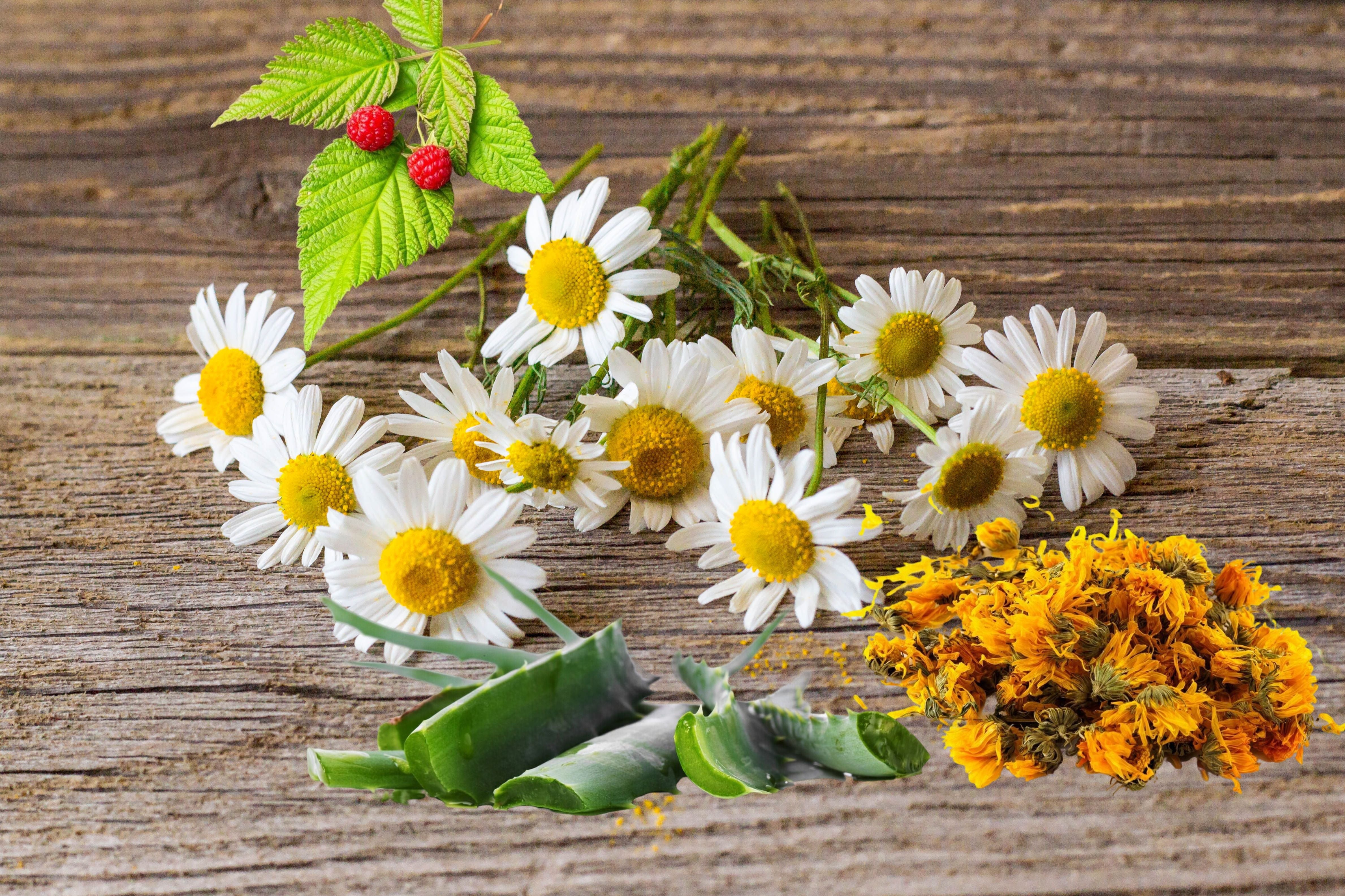 Eczema & Sensitive Skin