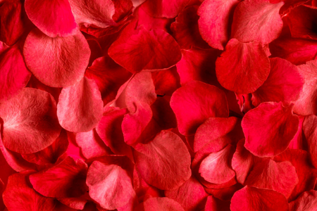 Organic Rose Petals