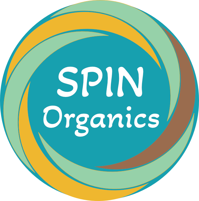 Spin Organics